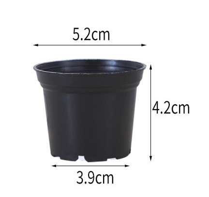 Pasu / pot kecil 4.2 cm